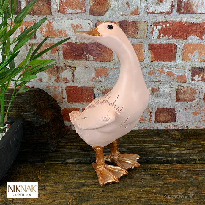Loveable Pink Duck from the Fancy Farm