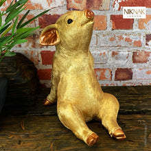 Fancy Farm - Golden Pig