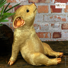 Fancy Farm - Golden Pig