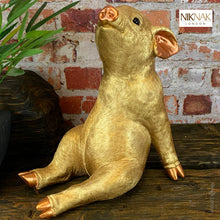 Fancy Farm - Golden Pig