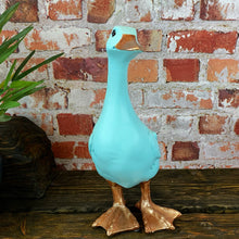 Front view of the Loveable Blue Duck from the Fancy Farm