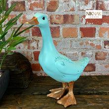 Loveable Blue Duck from the Fancy Farm