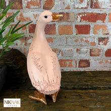 Rear view of loveable Pink Duck from the Fancy Farm